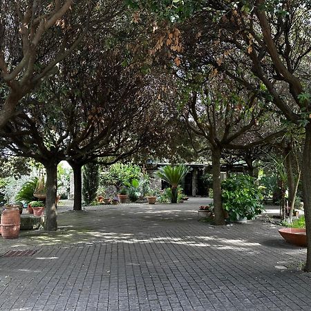 Апартаменти Borgo De' Paolis Ґроттаферрата Екстер'єр фото