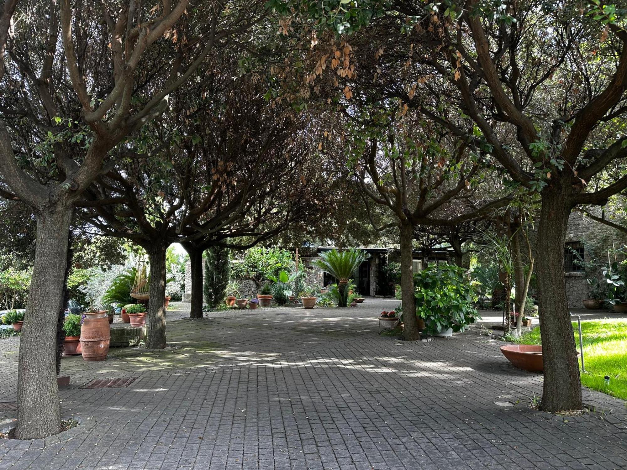 Апартаменти Borgo De' Paolis Ґроттаферрата Екстер'єр фото